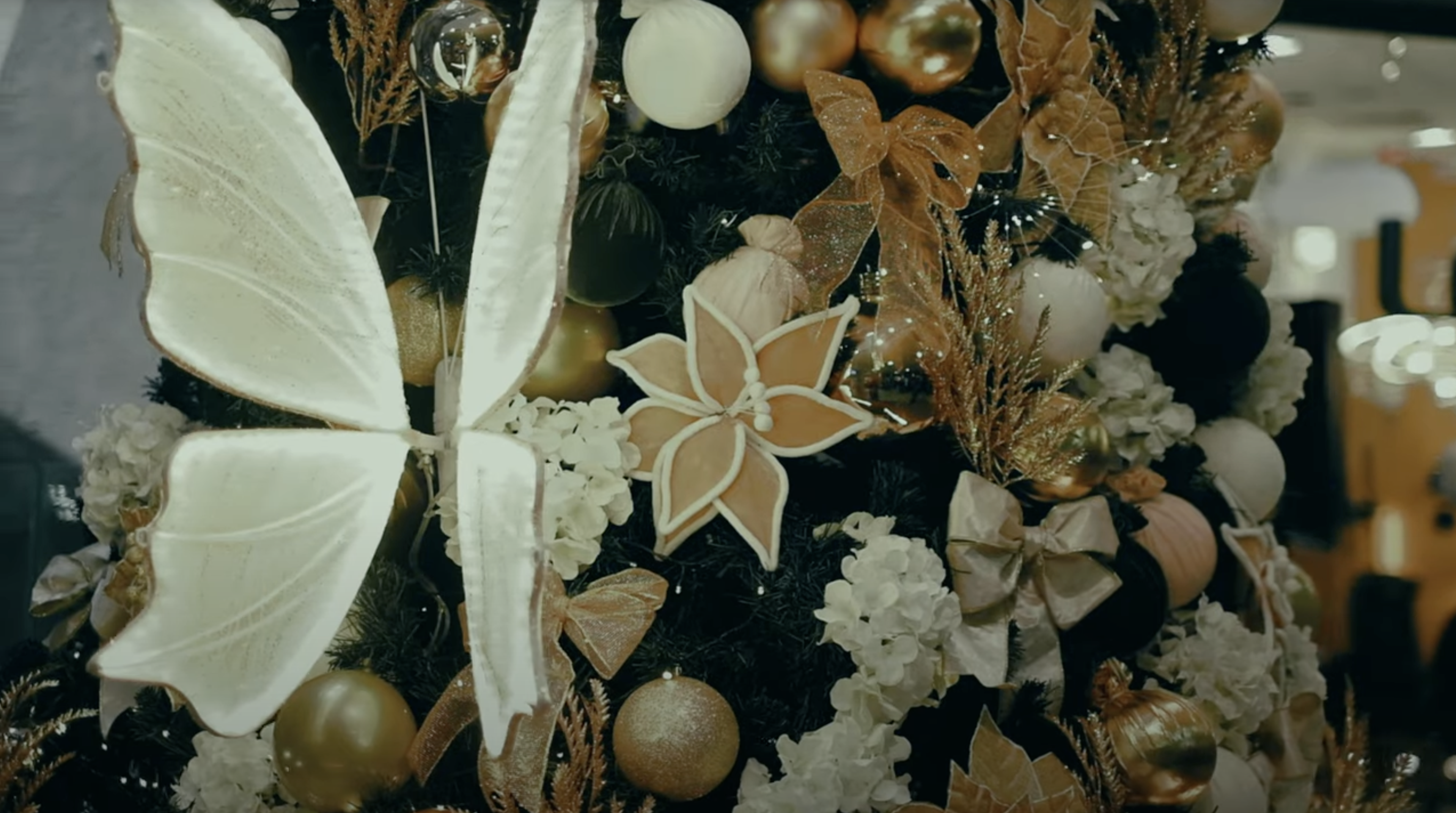 Vídeo de apresentação - VR Decor